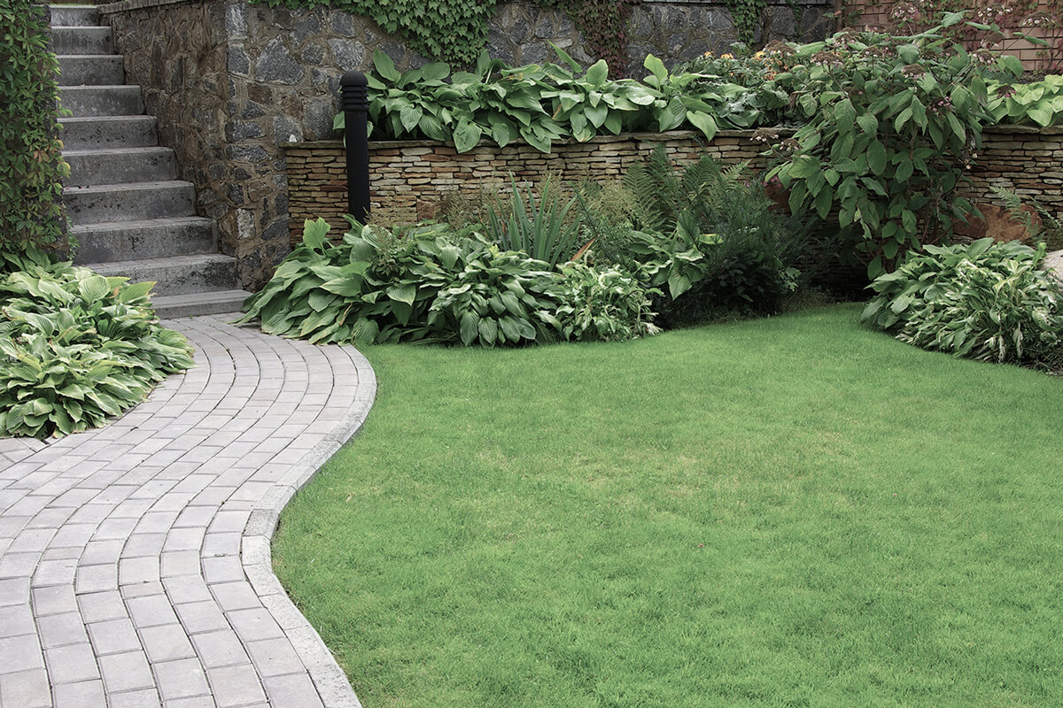 Welcome to Acorn Tree & Landscapes